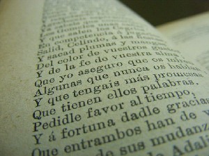 biblioteca 030 copy.jpg